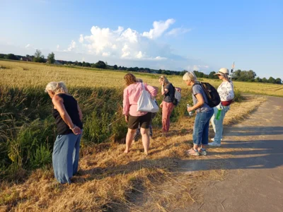 Foto des Albums: Step-Aerobic - Sommerabschluss 2026