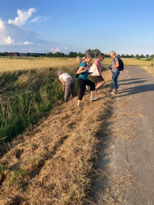 Foto des Albums: Step-Aerobic - Sommerabschluss 2026