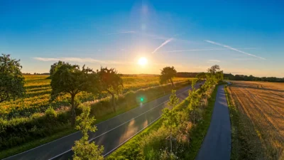 Foto des Albums: Sonnenblumenfeld bei Jarchow
