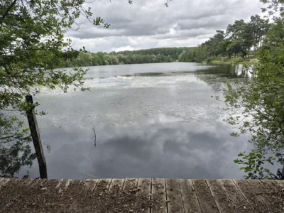Foto des Albums: Urlaub - Münster - 2026