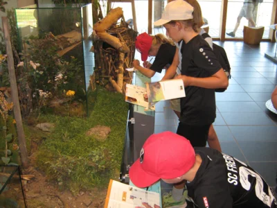 Foto des Albums: Landschulheim 2026