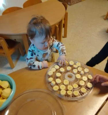 Die Bananen werden getrocknet  (Bild vergr&ouml;&szlig;ern)