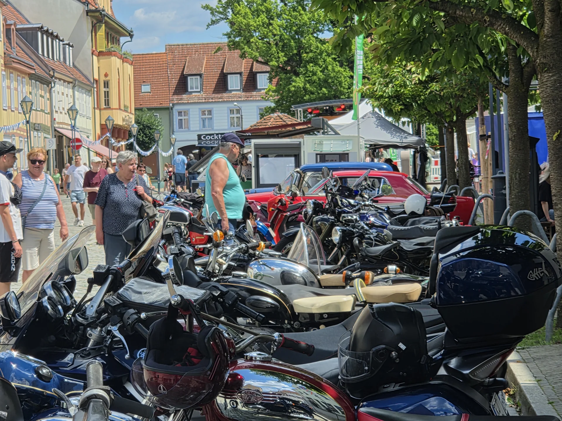 Bild der Galerie