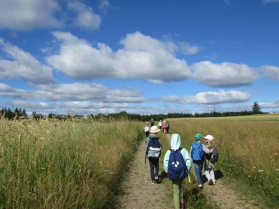 Foto des Albums: Wandertour der Eingangsstufe nach Hermesgrün