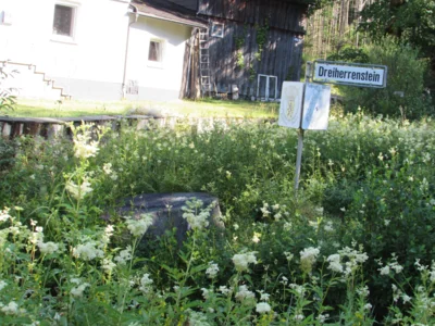 Foto des Albums: Wandertour der Eingangsstufe nach Hermesgrün