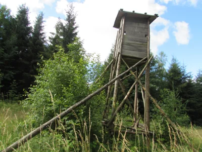 Foto des Albums: Wandertour der Eingangsstufe nach Hermesgrün