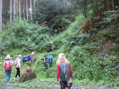 Foto des Albums: Wandertour der Eingangsstufe nach Hermesgrün