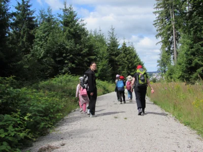 Foto des Albums: Wandertour der Eingangsstufe nach Hermesgrün