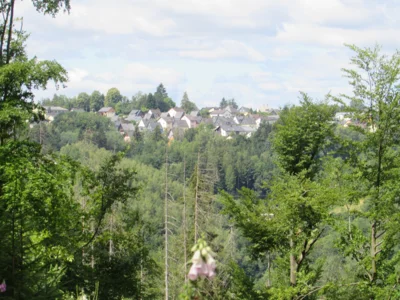 Foto des Albums: Wandertour der Eingangsstufe nach Hermesgrün