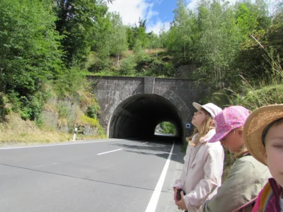 Foto des Albums: Wandertour der Eingangsstufe nach Hermesgrün