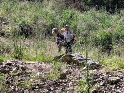 Foto des Albums: Wandertour der Eingangsstufe nach Hermesgrün