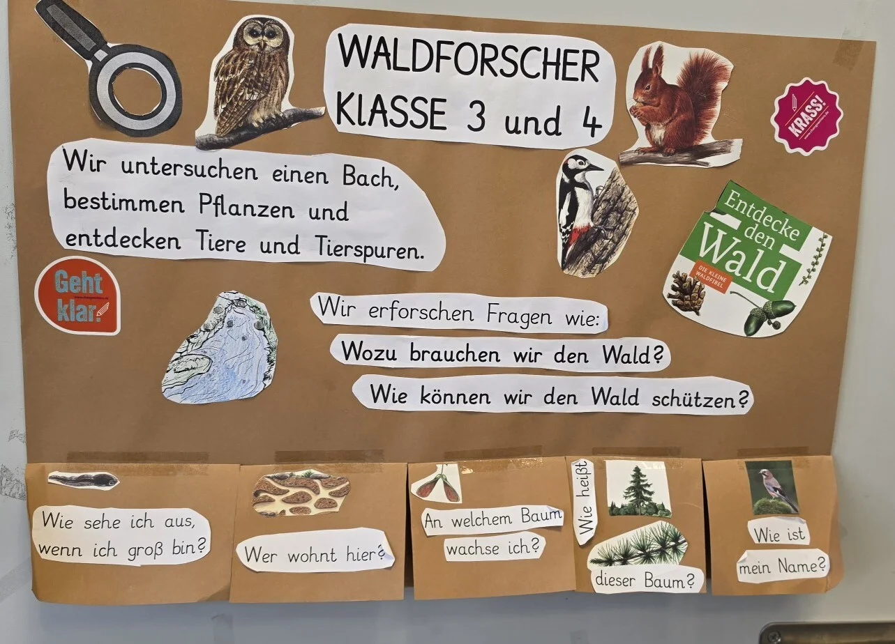 Bild: Wald1