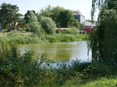 Foto des Albums: Seniorenausflug zum Fleesensee