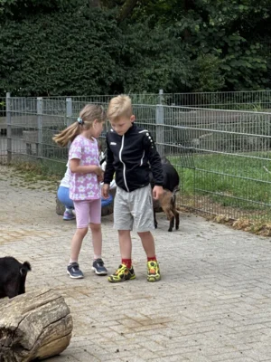 Foto des Albums: SUMM-Woche (10.​07.​2026)