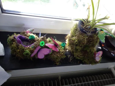 Foto des Albums: SUMM-Woche (10.​07.​2026)
