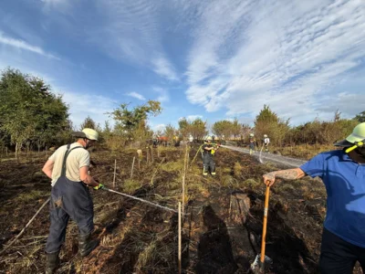 Foto des Albums: Unimogbrand Ober-Seemen