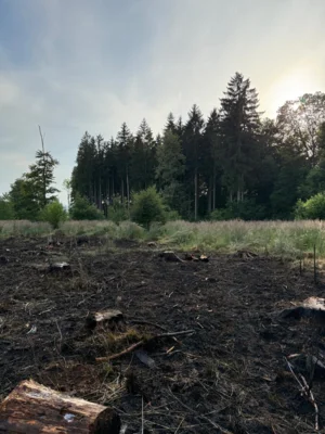 Foto des Albums: Unimogbrand Ober-Seemen