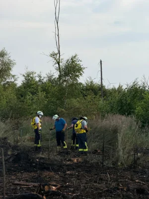 Foto des Albums: Unimogbrand Ober-Seemen