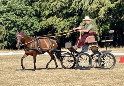 Foto des Albums: Leistungsprüfung Michelstadt