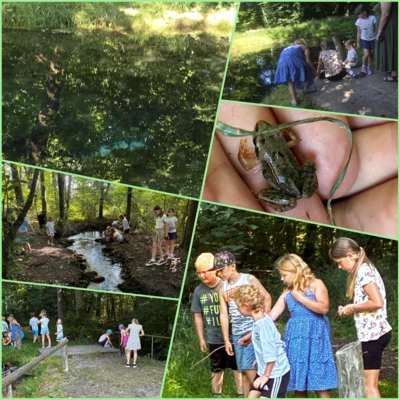 Picknick an den Eisteichen  (Bild vergr&ouml;&szlig;ern)