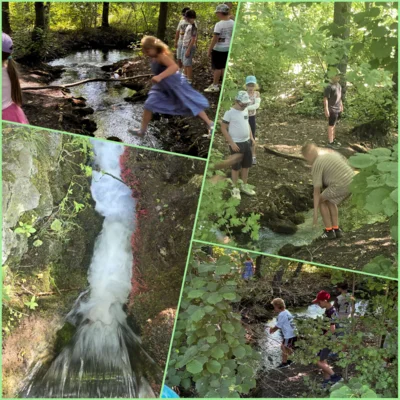 Picknick an den Eisteichen  (Bild vergr&ouml;&szlig;ern)