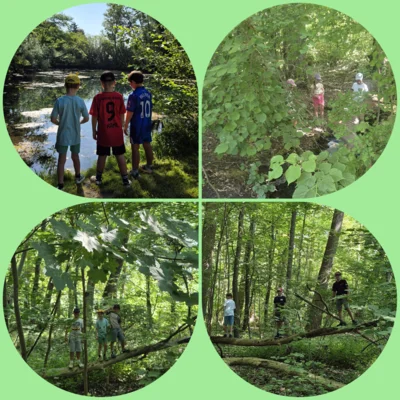 Picknick an den Eisteichen  (Bild vergr&ouml;&szlig;ern)