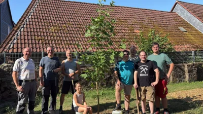 Foto des Albums: Baum Spielplatz Bleichenbach