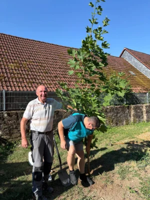 Foto des Albums: Baum Spielplatz Bleichenbach
