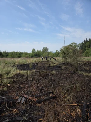 Foto des Albums: Einsatz 12/2026 (15.​07.​2026)