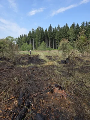 Foto des Albums: Einsatz 12/2026 (15.​07.​2026)