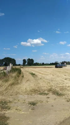 Foto des Albums: Einsatz 34/2026