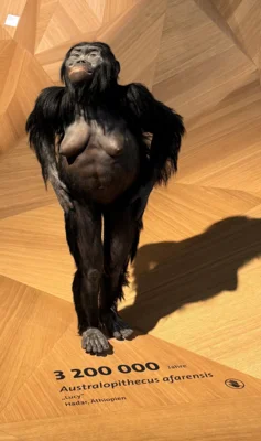 Foto des Albums: Neandertal