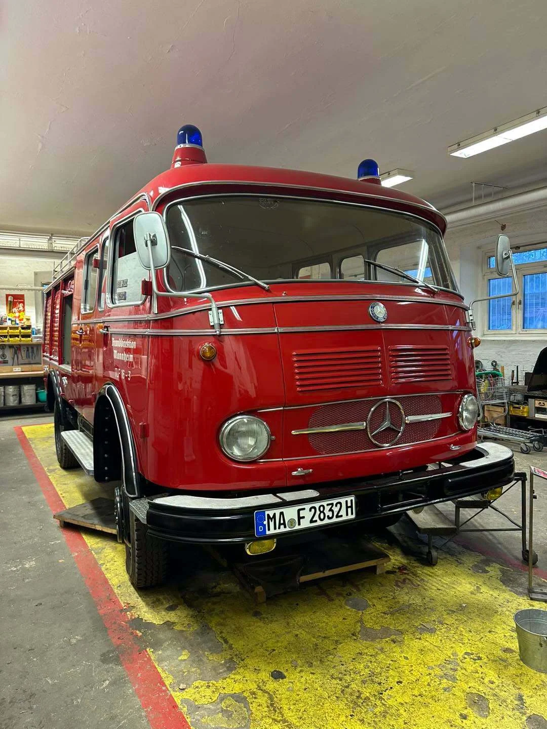 Bild der Galerie