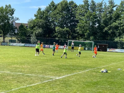 Foto des Albums: Ballhelden