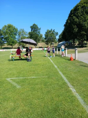 Foto des Albums: Ballhelden