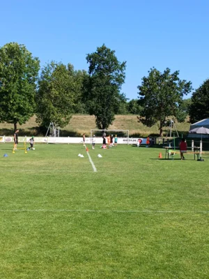Foto des Albums: Ballhelden
