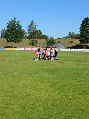 Foto des Albums: Ballhelden