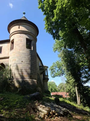 Foto des Albums: AG Schulgarten auf Schloss Hohenstein