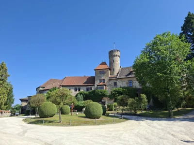 Foto des Albums: AG Schulgarten auf Schloss Hohenstein