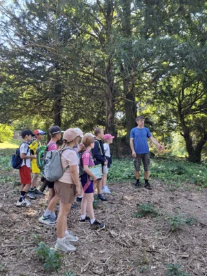 Foto des Albums: AG Schulgarten auf Schloss Hohenstein