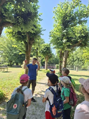 Foto des Albums: AG Schulgarten auf Schloss Hohenstein
