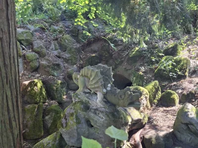Foto des Albums: AG Schulgarten auf Schloss Hohenstein