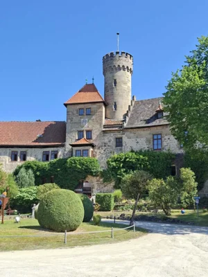 Foto des Albums: AG Schulgarten auf Schloss Hohenstein