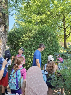 Foto des Albums: AG Schulgarten auf Schloss Hohenstein