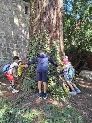 Foto des Albums: AG Schulgarten auf Schloss Hohenstein