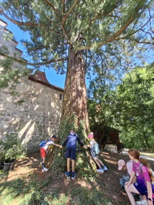 Foto des Albums: AG Schulgarten auf Schloss Hohenstein