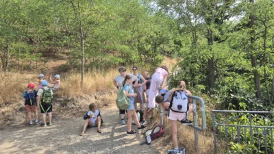 Foto des Albums: Sommerferien 2026