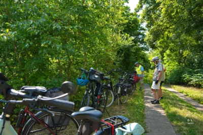Stopp am Ahlemer Wald -2  (Bild vergr&ouml;&szlig;ern)