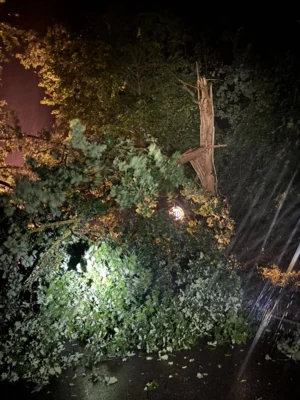 Foto des Albums: Einsatz 17/2026