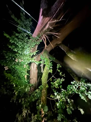 Foto des Albums: Einsatz 17/2026